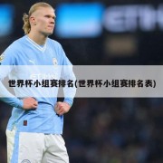 世界杯小组赛排名(世界杯小组赛排名表)